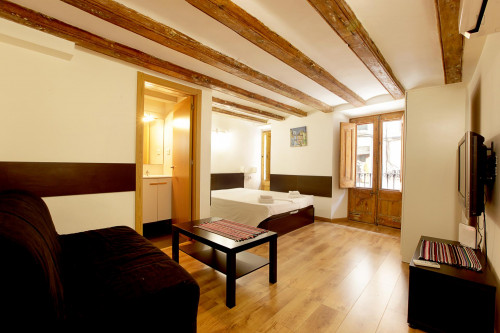 Comfy apartment in near the Universitat Pompeu Fabra