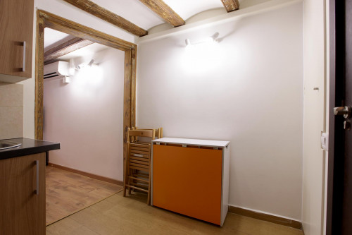 Comfy apartment in near the Universitat Pompeu Fabra - Gallery - 6