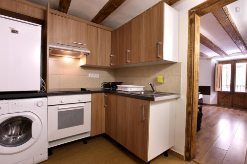 Comfy apartment in near the Universitat Pompeu Fabra  - Gallery -  5