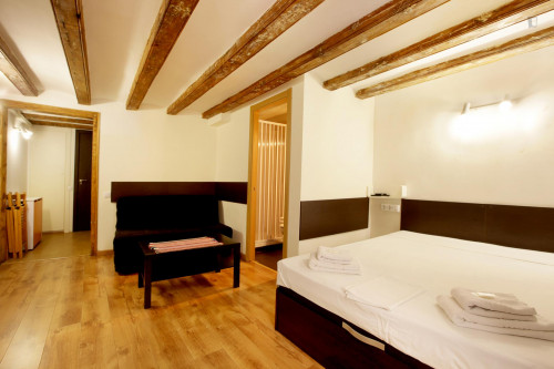  Comfy Apartment In Near The Universitat Pompeu Fabra  -  Comfy apartment in near the Universitat Pompeu Fabra  - Gallery -  2