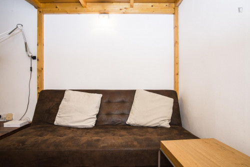 Snug studio flat in El Poble-sec  - Gallery -  5