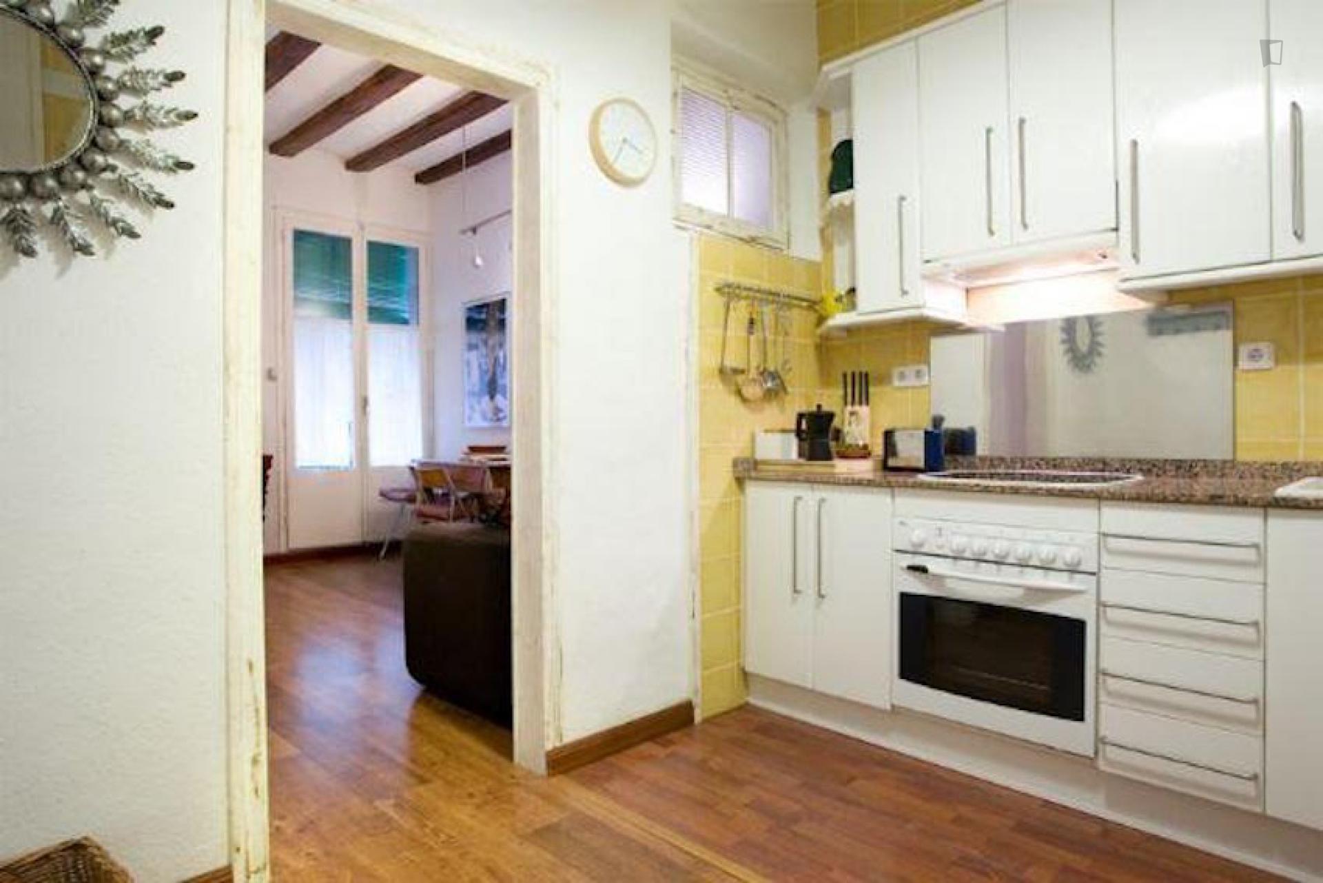 Welcoming 1-bedroom flat in El Raval