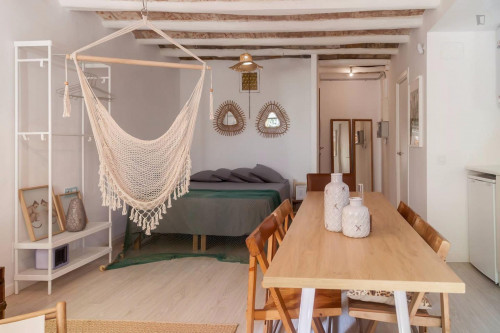 New Cozy loft studio in t heart of Bcn near Sant Antoni Market and MACBA
