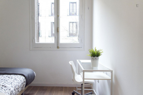 Bright and comfortable double bedroom in Lavapiés