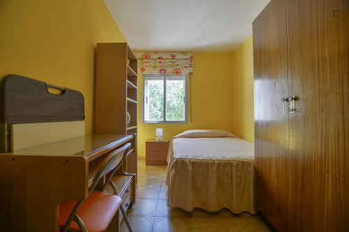 Cosy single bedroom in Abrantes  - Gallery -  1
