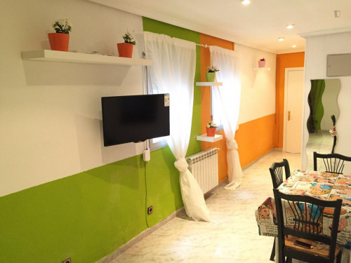 Neat single bedroom close to Palacio Real de Madrid