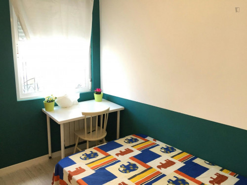 Neat single bedroom close to Palacio Real de Madrid