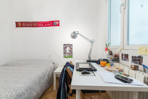 Very Nice Double Bedroom Near The La Latina Metro - 2
