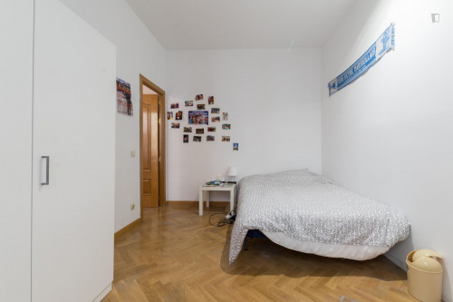 Pleasant double bedroom near the Tirso de Molina metro