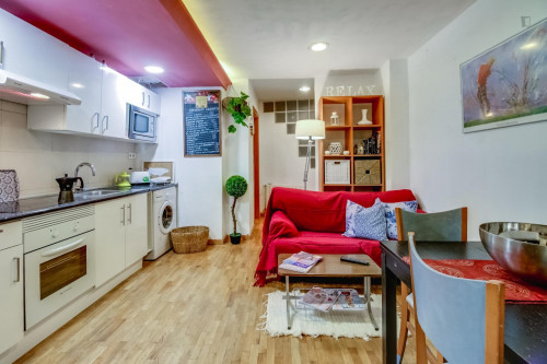 Wonderful and ample studio in Sant Antoni - Gallery - 11