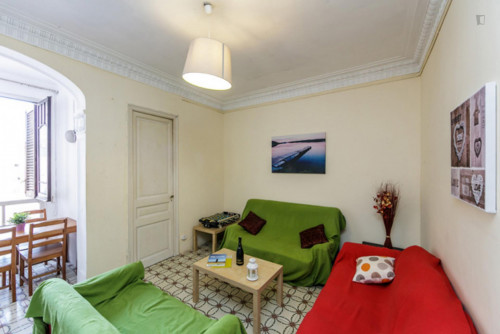 Homely double bedroom near the Arc de Triomf metro  - Gallery -  2
