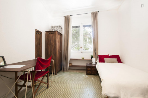 Lovely single bedroom in Puerta del Sol  - Gallery -  1