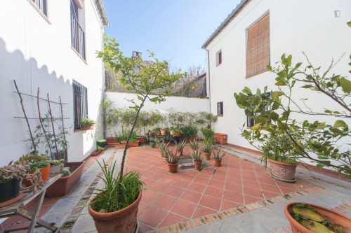 1-Bedroom apartment near Palacio Dar-al-Horra