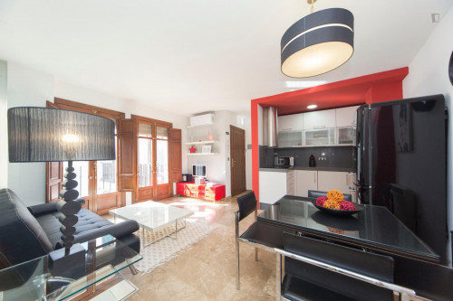 1-Bedroom apartment near Palacio Dar-al-Horra - Gallery - 15
