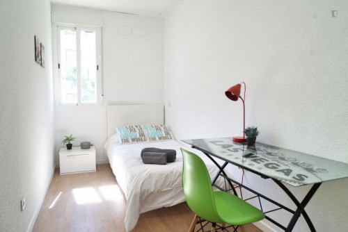 Luminous single bedroom in a student flat, near the San Bernardo metro  - Gallery -  1