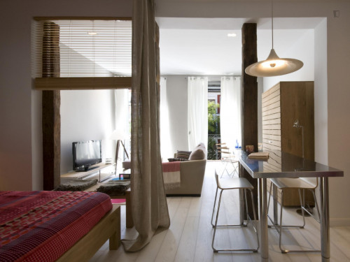 Delightful apartment in Lavapiés