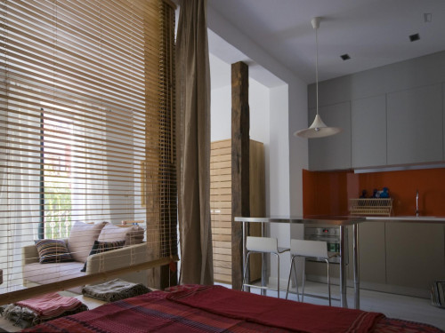 Delightful apartment in Lavapiés