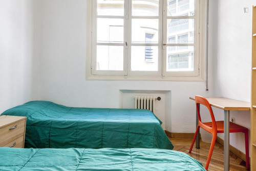 Twin Bedroom In The South Of Malasaña - 2