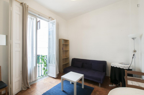 Humble one bedroom apartment near Plaza de Oriente  - Gallery -  2