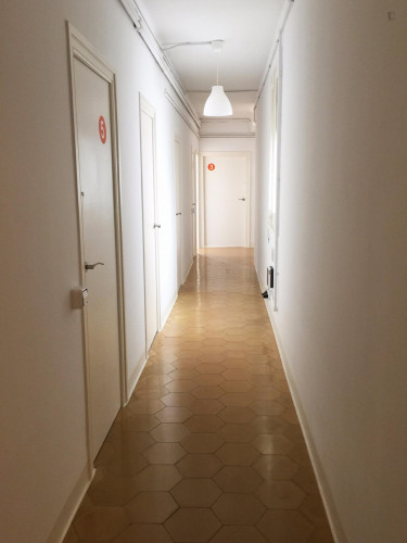 Charming single bedroom in centre