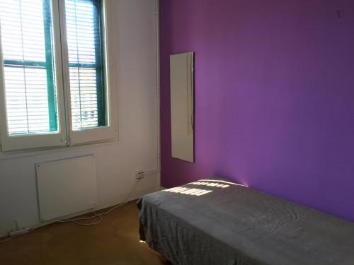  ROOM 2 - Charming Single Bedroom In Centre  -  Charming single bedroom in centre  - Gallery -  1
