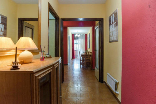 Great double bedroom near Universidad de Alcalá - Campus de Alcalá de Henares  - Gallery -  3