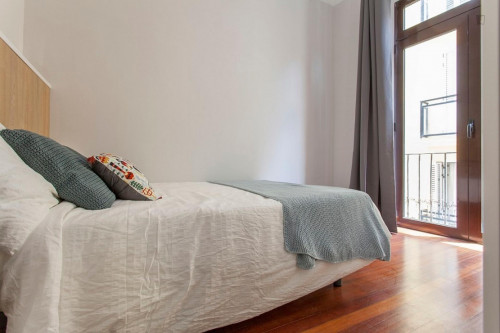 Snug double bedroom near Plaça de la Mare de Déu - Gallery - 22