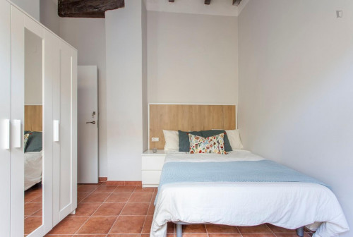 Cute Double Bedroom Near Plaça De La Mare De Déu - 1