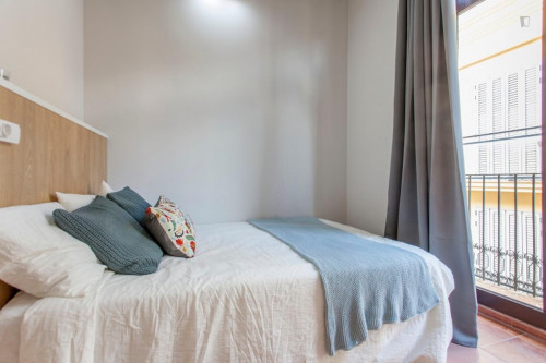 Chic double bedroom near Plaça de la Mare de Déu - Gallery - 23