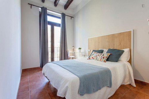 Incredible double bedroom near Plaça de la Mare de Déu - Gallery - 24
