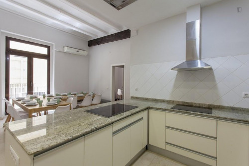 Fantastic double bedroom near Plaça de la Mare de Déu - Gallery - 15