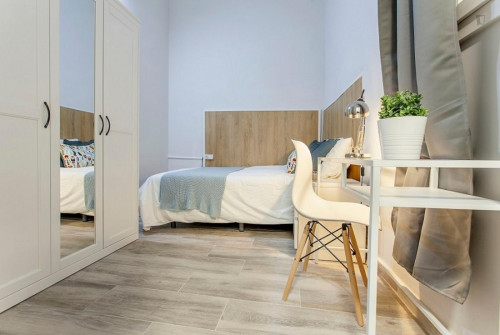 Homely double ensuite bedroom near Plaça de la Mare de Déu