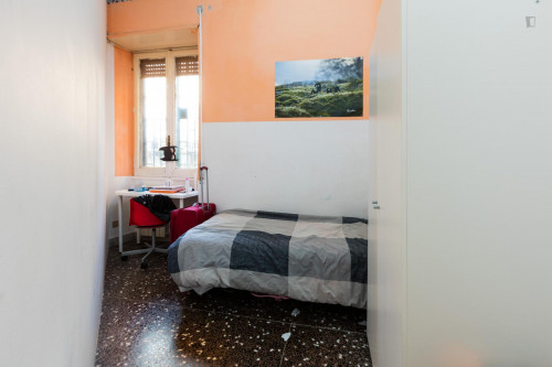 Well-lit single bedroom in Ostiense  - Gallery -  1