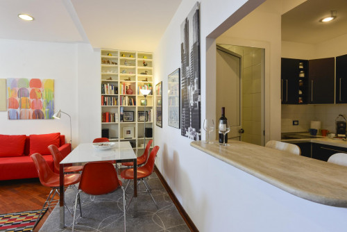 Cosy Apartment in Trastevere Avenue near the Universities and the John Cabot University, close to public transport and railway station - Gallery - 16