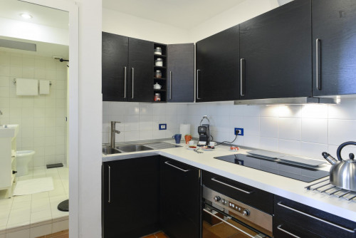 Cosy Apartment in Trastevere Avenue near the Universities and the John Cabot University, close to public transport and railway station - Gallery - 14