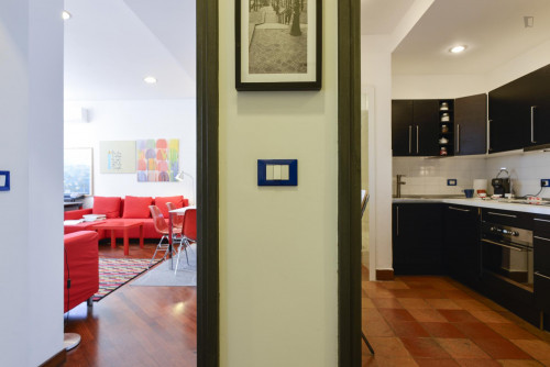 Cosy Apartment in Trastevere Avenue near the Universities and the John Cabot University, close to public transport and railway station - Gallery - 9