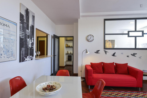 Cosy Apartment in Trastevere Avenue near the Universities and the John Cabot University, close to public transport and railway station - Gallery - 17