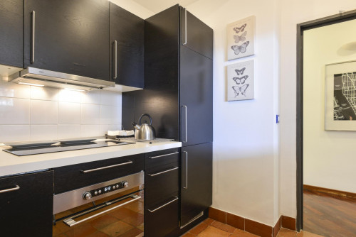 Cosy Apartment in Trastevere Avenue near the Universities and the John Cabot University, close to public transport and railway station - Gallery - 15
