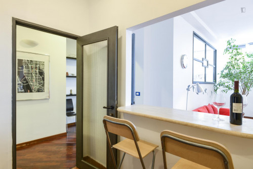 Cosy Apartment in Trastevere Avenue near the Universities and the John Cabot University, close to public transport and railway station