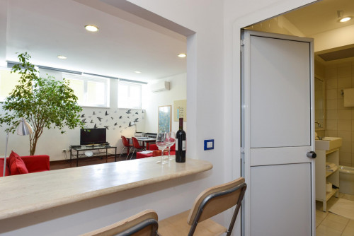 Cosy Apartment in Trastevere Avenue near the Universities and the John Cabot University, close to public transport and railway station - Gallery - 12
