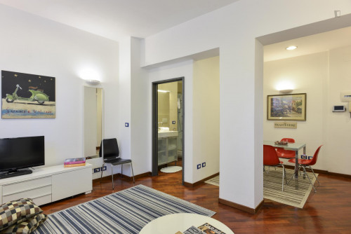 Cosy Apartment in Trastevere Avenue near the Universities and the John Cabot University, close to public transport and railway station - Gallery - 11