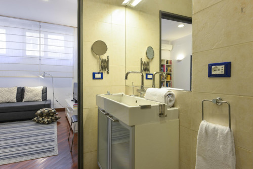 Cosy Apartment in Trastevere Avenue near the Universities and the John Cabot University, close to public transport and railway station - Gallery - 7