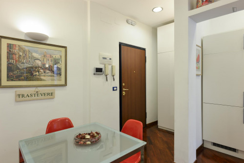 Cosy Apartment in Trastevere Avenue near the Universities and the John Cabot University, close to public transport and railway station - Gallery - 15