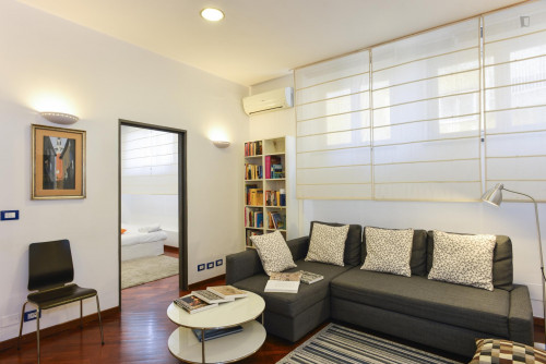 Cosy Apartment in Trastevere Avenue near the Universities and the John Cabot University, close to public transport and railway station