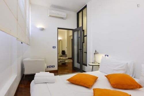 Cosy Apartment in Trastevere Avenue near the Universities and the John Cabot University, close to public transport and railway station