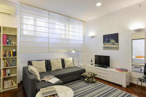 Cosy Apartment in Trastevere Avenue near the Universities and the John Cabot University, close to public transport and railway station