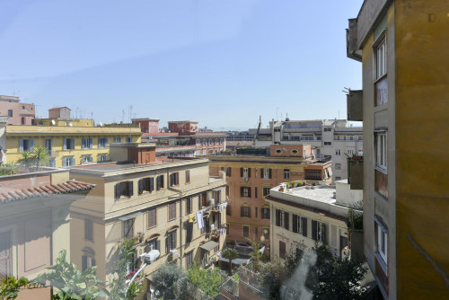 Cosy Apartment in Trastevere Avenue near the Universities and the John Cabot University, close to public transport and railway station