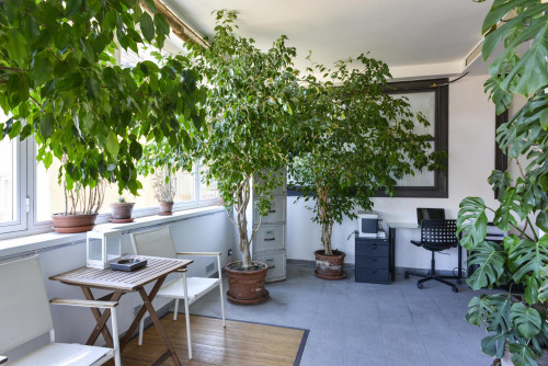 Cosy Apartment in Trastevere Avenue near the Universities and the John Cabot University, close to public transport and railway station