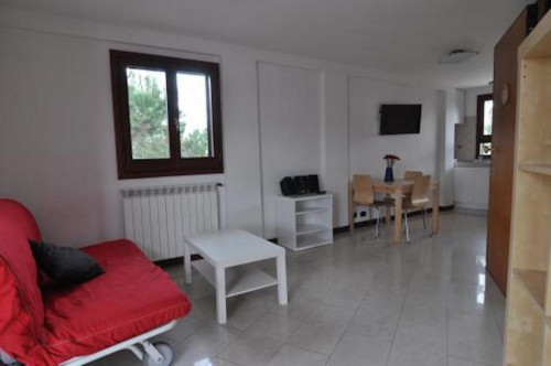 Cute and welcoming 1-bedroom apartment in the Fiera municipality  - Gallery -  1