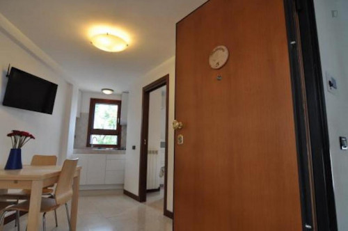 Cute and welcoming 1-bedroom apartment in the Fiera municipality  - Gallery -  3